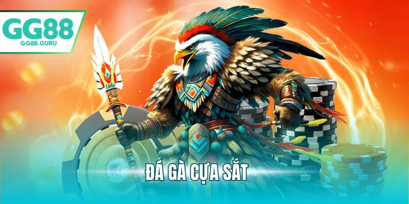 đá gà cựa sắt